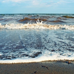 Усадьба Оазис, Яровое, Алтайский край