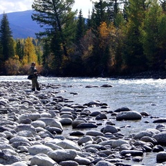 Усадьба Уютная, Чемальский район, Республика Алтай