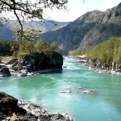 Усадьба Уютная, Чемальский район, Республика Алтай