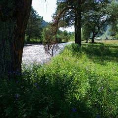 Туристический комплекс Островок, Шебалинский район, Республика Алтай