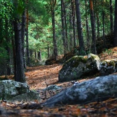 Турбаза Удру, Чемальский район, Республика Алтай