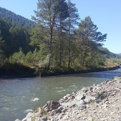 Туристический комплекс Островок, Шебалинский район, Республика Алтай