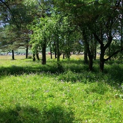 Туристический комплекс Островок, Шебалинский район, Республика Алтай