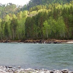 Усадьба Толстяка Мо, Чемальский район, Республика Алтай
