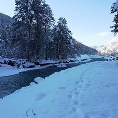 Туристический комплекс Островок, Шебалинский район, Республика Алтай