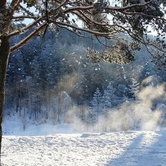 Туристический комплекс Островок, Шебалинский район, Республика Алтай