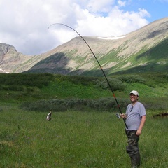 Турбаза Приют Альбаган, Чойский район, Республика Алтай