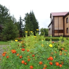 Туристическая база Куб-А, Заринский район, Алтайский край