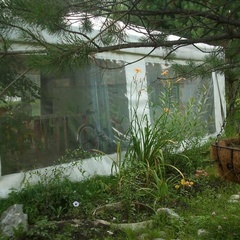 Усадьба Сельская, Чемальский район, Республика Алтай