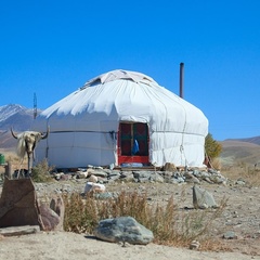 Кемпинг  Тыдтуярык - Golden Camel, Кош-Агачский район, Республика Алтай