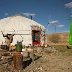 Кемпинг  Тыдтуярык - Golden Camel, Кош-Агачский район, Республика Алтай
