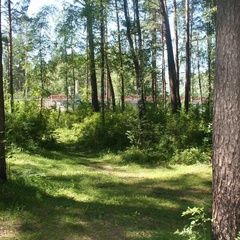 Турбаза Катунь-Парк, Майминский район, Республика Алтай