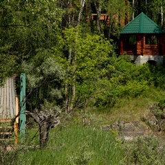 Туристический комплекс  Хутор Кедровый, Алтайский район, Алтайский край