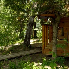 Туристический комплекс  Хутор Кедровый, Алтайский район, Алтайский край