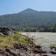 Гостиничный комплекс Бирюзовая Катунь, Алтайский район, Алтайский край