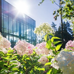 База отдыха Верба Маер / Verba Mayr, Пушкинский район, Московская область