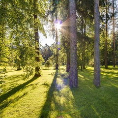 База отдыха Верба Маер / Verba Mayr, Пушкинский район, Московская область