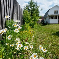 Гостевой дом Николо-Рожок, Осташковский район, Тверская область