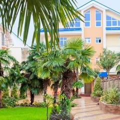 Мини-отель Дельфин, Сочи, Краснодарский край