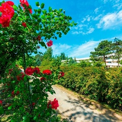 Клуб-отель Ривьера, Анапа, Краснодарский край