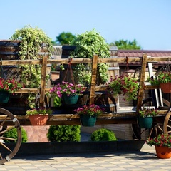 База отдыха Немецкая слобода, Темрюкский район, Краснодарский край