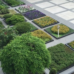 База отдыха Мамайка, Сочи, Краснодарский край