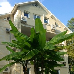 Отель Романов, Сочи, Краснодарский край