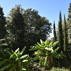 Отель Романов, Сочи, Краснодарский край