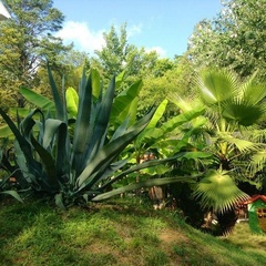 Отель Романов, Сочи, Краснодарский край