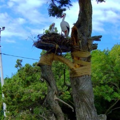 База отдыха Морской залив, Анапский район, Краснодарский край