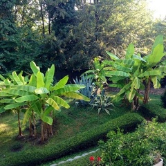 Отель Романов, Сочи, Краснодарский край