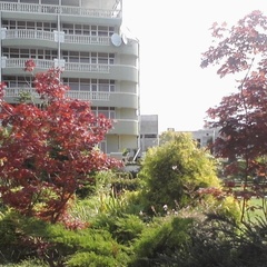 Гостиница Green House, Сочи, Краснодарский край