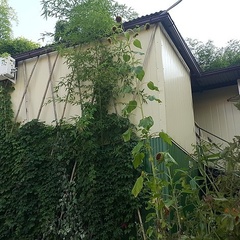 База отдыха Бамбук Хутор, Сочи, Краснодарский край