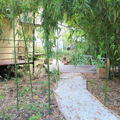 База отдыха Бамбук Хутор, Сочи, Краснодарский край