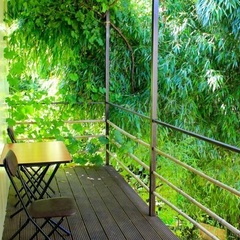 База отдыха Бамбук Хутор, Сочи, Краснодарский край