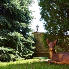 Гостевой дом Сказка, Геленджик, Краснодарский край