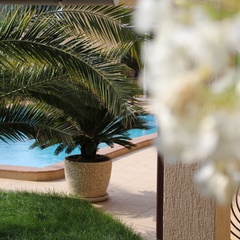 Гостевой дом Векар, Сочи, Краснодарский край