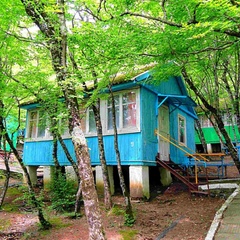 База отдыха Дубрава, Туапсинский район, Краснодарский край