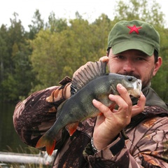 Гостевой комплекс Вороний остров, Медвежьегорский район, Республика Карелия