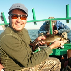 Гостевой комплекс Вороний остров, Медвежьегорский район, Республика Карелия