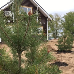 Коттеджный комплекс Проран, Самара, Самарская область