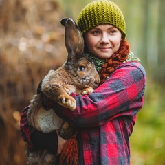 База отдыха Хутор «Салокюля», Лахденпохский район, Республика Карелия