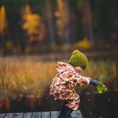 База отдыха Хутор «Салокюля», Лахденпохский район, Республика Карелия