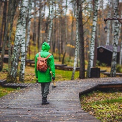 База отдыха Хутор «Салокюля», Лахденпохский район, Республика Карелия