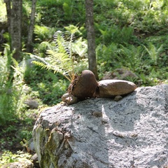 База отдыха Хутор «Салокюля», Лахденпохский район, Республика Карелия