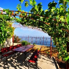 Усадьба Лукоморье, Алушта, Крым