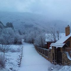 Гостевой дом Лесной Кордон, Севастополь, Крым
