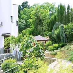 База отдыха Таврида-Азот, Алушта, Крым