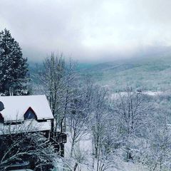 Гостевой дом Лесной Кордон, Севастополь, Крым