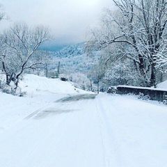 Гостевой дом Лесной Кордон, Севастополь, Крым